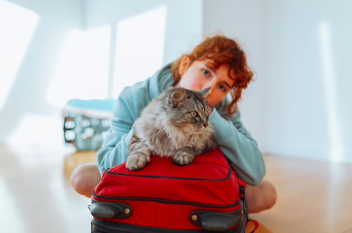 Travel with your small pets